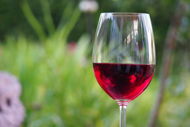 Napa Valley Wine Tasting Tour 6 to 8 Hours Max 14 Passenger - Pickup and Meeting