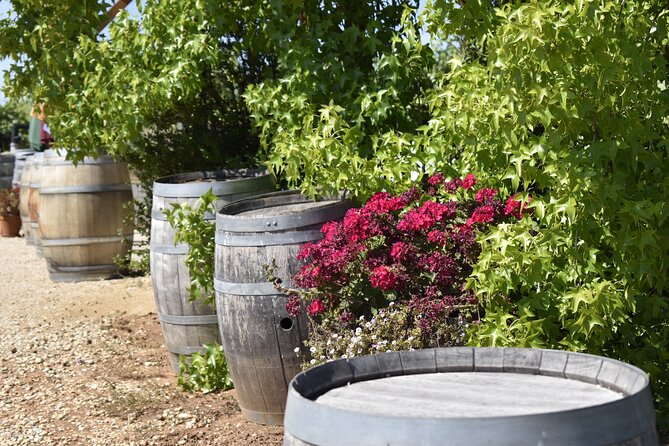 Napa Valley Wine Tasting Tour 6 to 8 Hours Max 14 Passenger - Luxury Transportation