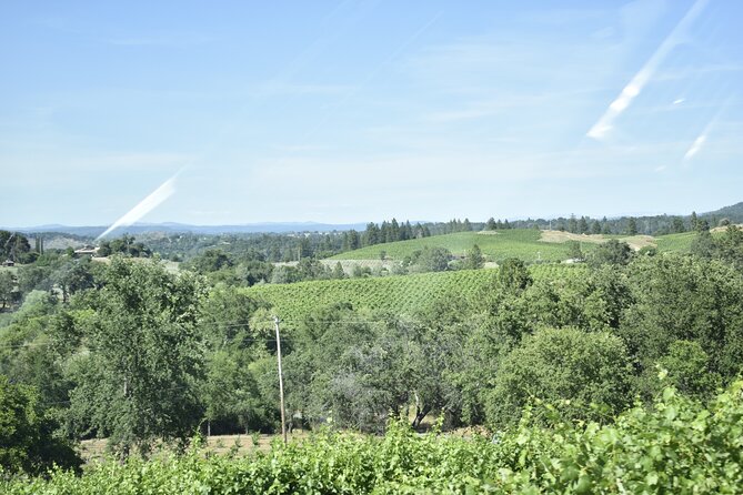 Napa Valley Wine Tasting Tour 6 to 8 Hours Max 14 Passenger - Frequently Asked Questions