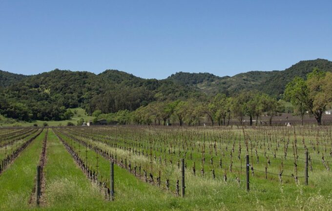 Napa Valley: Wine Tasting Tour by Open Air Trolley & Lunch - Visiting Wineries and Tastings