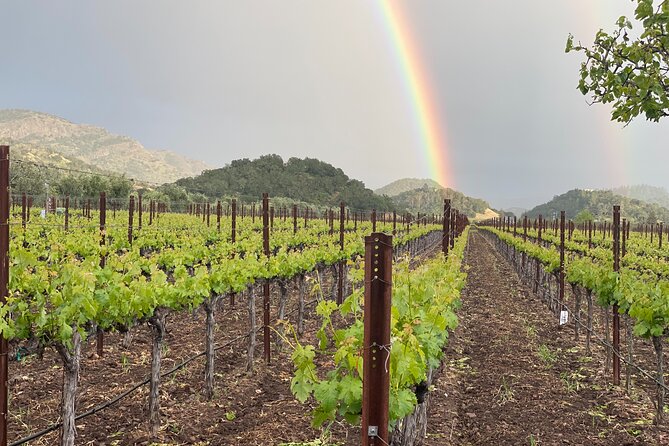 Napa Valley Wine Tour and Transportation: SUV Up To 6 Guests - Customizable Itinerary