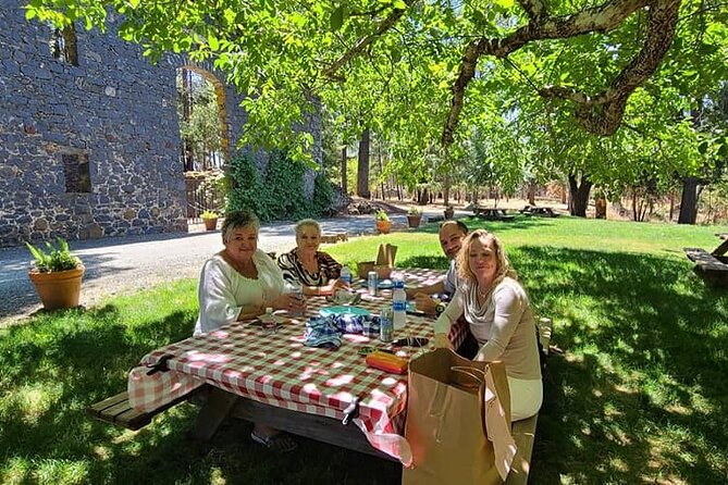 Napa Valley Winery Open Air Tour - Participant Information