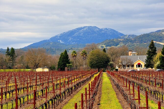 Napa Valley, Yountville and Sausalito Day Trip From San Francisco - Wineries and Tastings