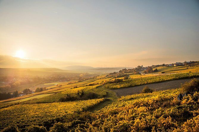 Napa Wine Tour - Bespoke Private Experience in a Land Rover - Possible Drawbacks