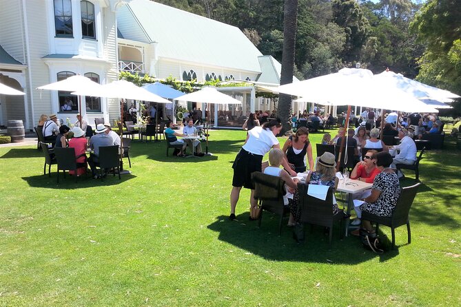 Napier Afternoon Wine, & Gin Tasting (Thurs Thru to Saturdays ) - Expert-Led Tastings and Tours
