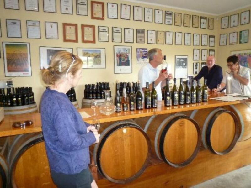 Napier: Afternoon Wine Gin Tasting Tour - Inclusions