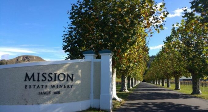 Napier: Afternoon Wine Gin Tasting Tour - Winery Offerings