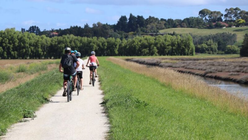 Napier: Art Deco Bike Ride and Wineries Loop - Winery Visits