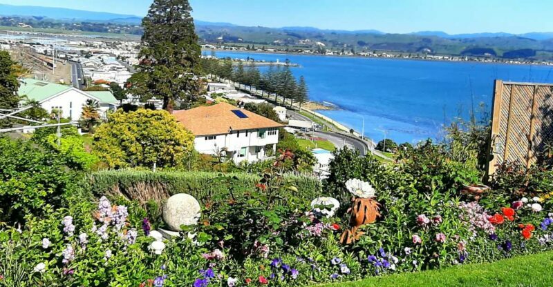 Napier: Art-Deco + Te Mata Peak+ Garden Walk + Wine Tasting - Transportation and Size Matter