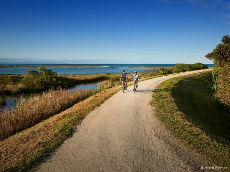 Napier: Cape Coast Winery Tour on E-Bikes - Why This Tour Offers Great Value