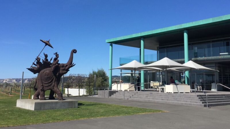 Napier: Cape Coast Winery Tour on Pedal or E-Bikes - Key Points