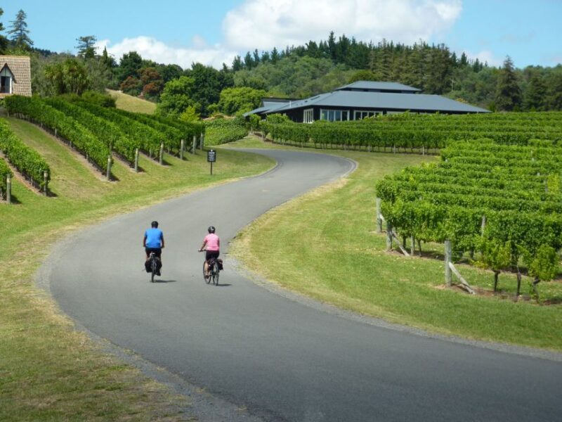 Napier: Cape Coast Winery Tour on Pedal or E-Bikes - Pricing Details