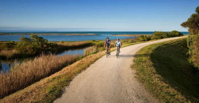 Napier: Cape Coast Winery Tour on Pedal or E-Bikes - Itinerary Highlights