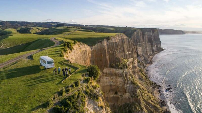 Napier: Cape Kidnappers Gannet, Nature & Sightseeing Tour - Analyzing the Value
