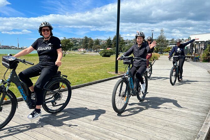 Napier: Cycle to Wineries - Half Day, self-guided - Exploring Napier on Two Wheels: A Review of the Self-Guided Wineries Cycling Tour