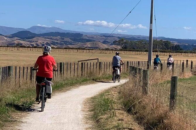 Napier: Cycle to Wineries - Half Day, self-guided - The Ride Experience