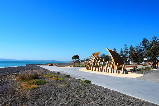 Napier E-bike Hire - Customer Experiences