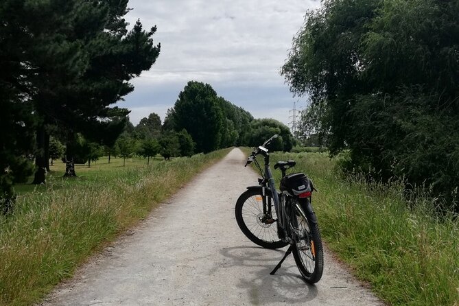 Napier E-bike Hire - Highlights for Cruise Ship Passengers
