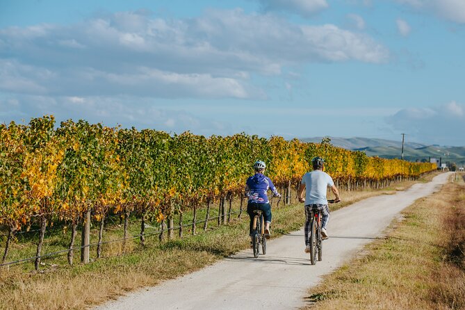 Napier E-bike Hire - Overall Recommendation
