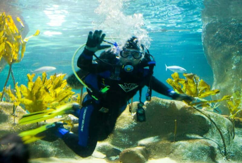Napier: National Aquarium of New Zealand General Admission - Key Points
