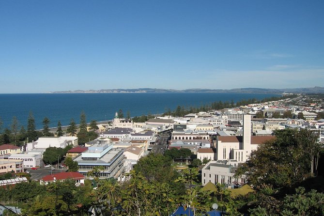 Napier Shore Excursion: City Sights and Hawkes Bay Tour - Inclusions