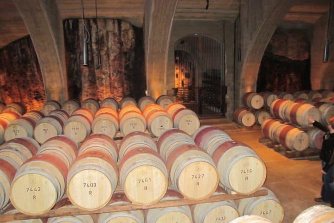 Napier Shore Excursion: Wine, Beer & Art Deco Tour - Inclusions