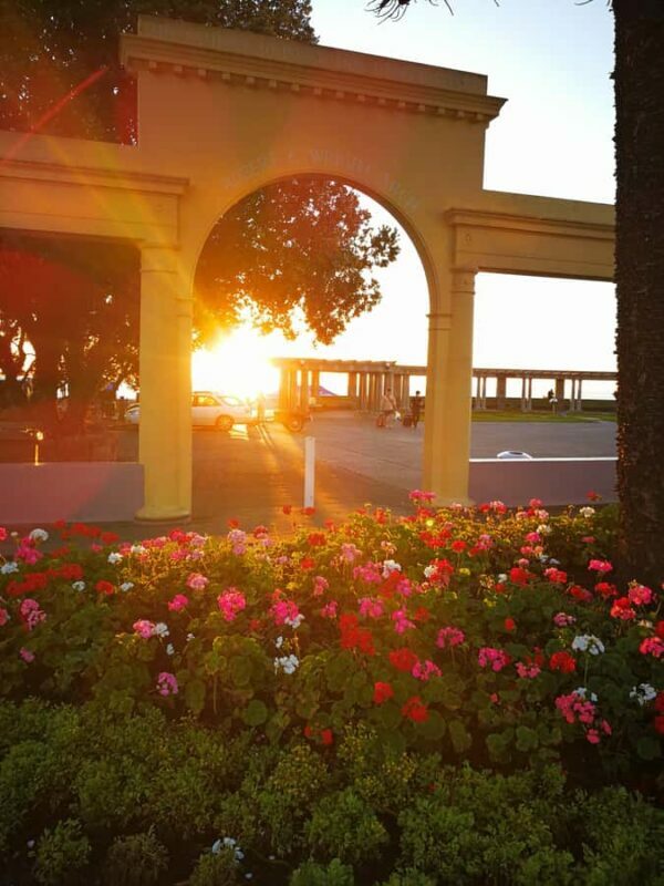 Napier: Shore Excursion with Wine Tasting and Platter - Is This Tour Worth It?