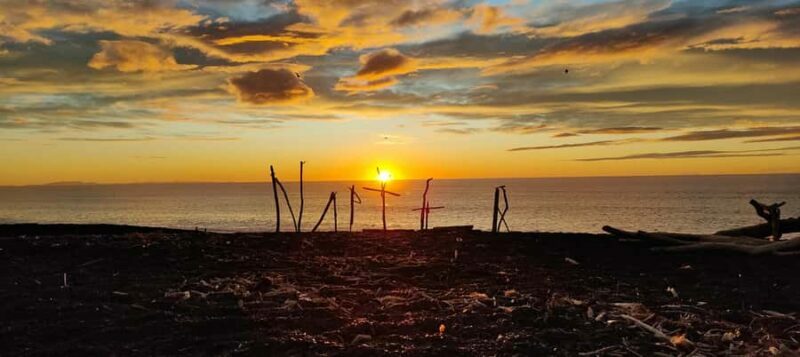 Napier: Shore Excursion with Wine Tasting and Platter - Final Thoughts