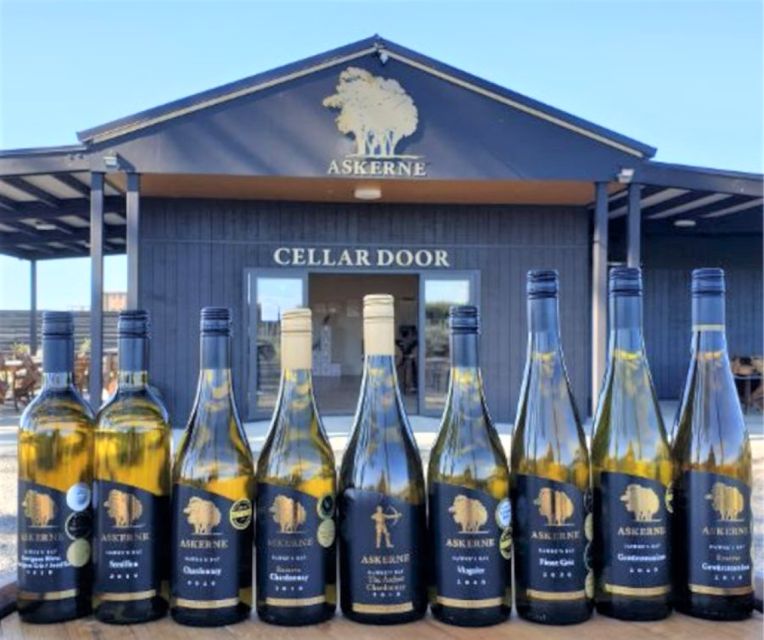 Napier: Wine and Gin Tasting Tour With Lunch - Customer Reviews