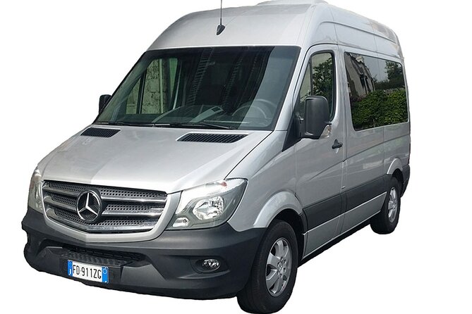 Naples Airport/Station to Positano or Ravello Private Arrival Transfer - Driver Assistance