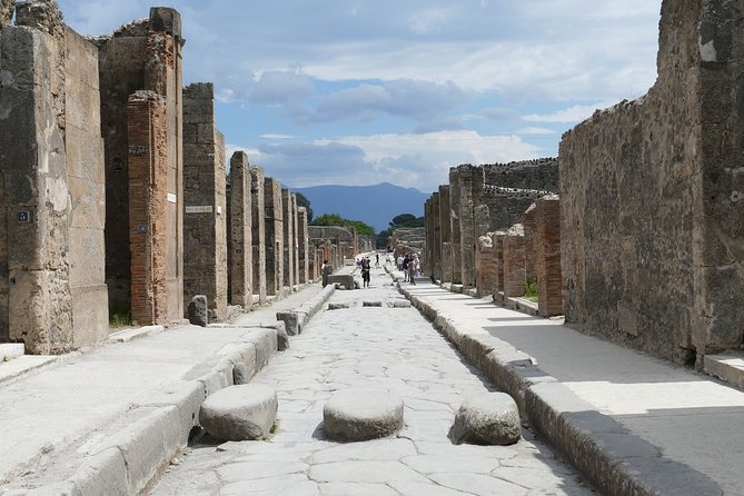 Naples and Pompeii Half-Day Guided Tour From Naples - Tour Pricing and Guarantee