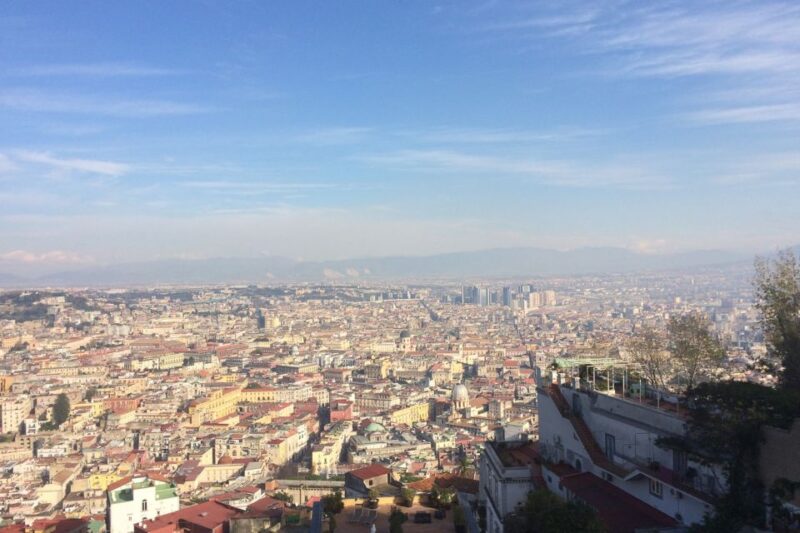 Naples and Pompeii: Half-Day Tour - Booking Information