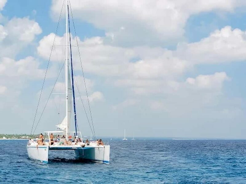 Naples: Catamaran Cruises with Wildlife Views - A Detailed Look at the Experience
