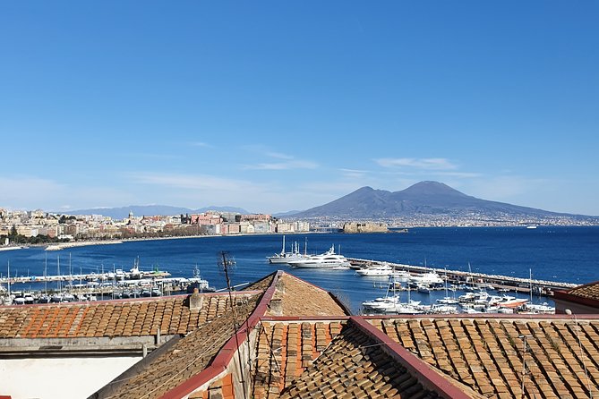 Naples City and Pompeii Half Day Sightseeing Tour - Exclusions