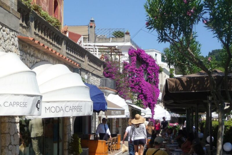 Naples: Day Trip to Pompeii and Capri - Tour Languages and Participants