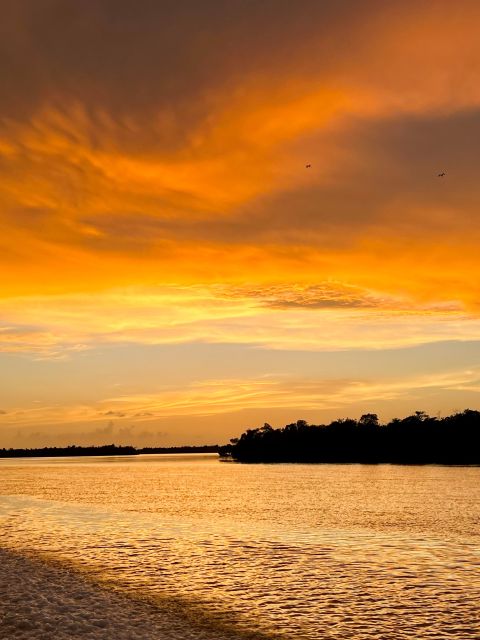 Naples, FL: 2.5 Hour Private Sunset Cruise in 10,000 Islands - Key Points