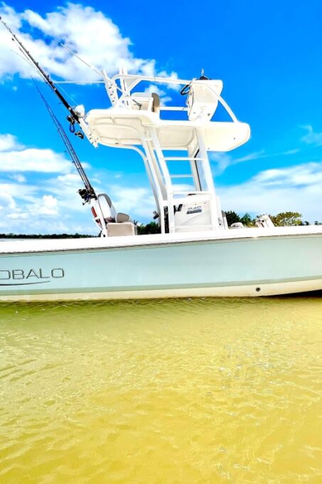 Naples, FL: 3 Hour Private Dolphin & Manatee Tour - Frequently Asked Questions