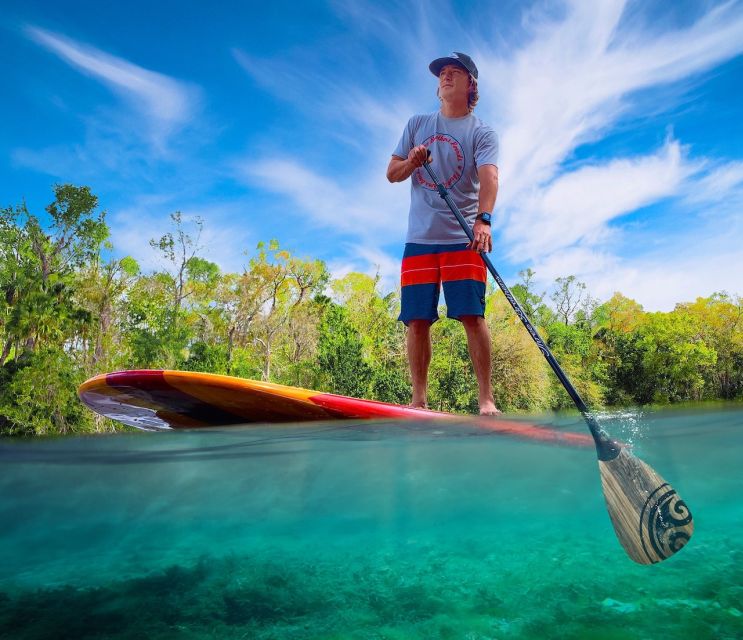 Naples, FL: Guided Standup Paddleboard or Kayak Tour - Tour Guide Expertise