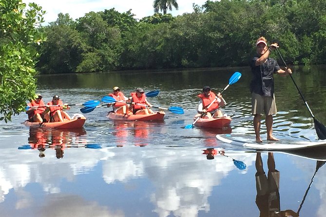 Naples FL, Kayak Mangrove Forest Tour - Key Points