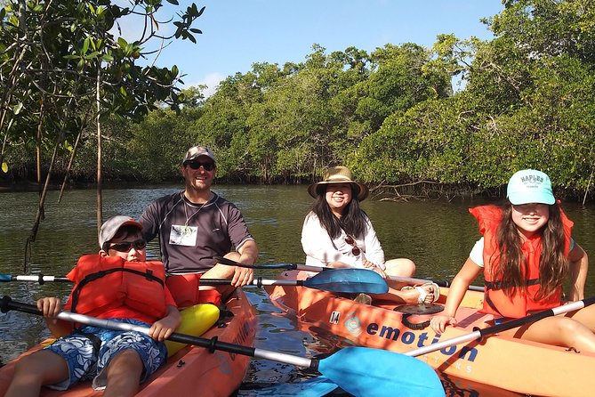 Naples FL, Kayak Mangrove Forest Tour - Experience the Mangrove Waterways