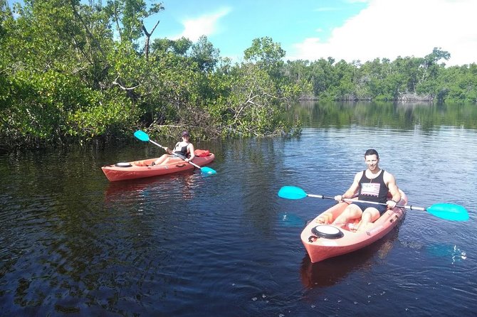 Naples FL, Kayak Mangrove Forest Tour - Southern Floridas Ecosystem Insights