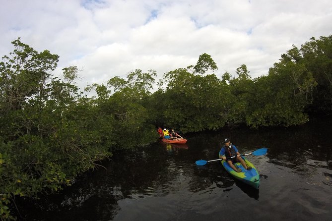 Naples FL, Kayak Mangrove Forest Tour - Kayak and Safety Equipment