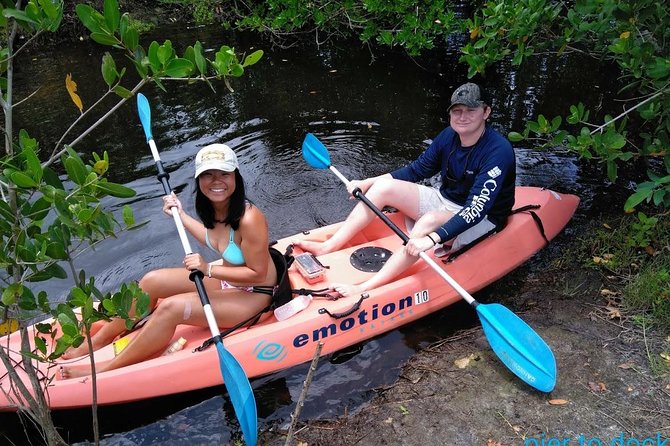 Naples FL, Kayak Mangrove Forest Tour - Participant Guidelines and Preparation
