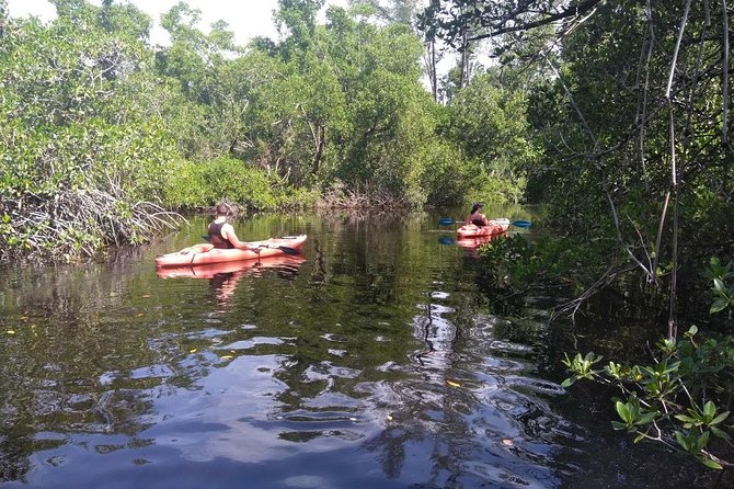 Naples FL, Kayak Mangrove Forest Tour - Accessing the Meeting Point