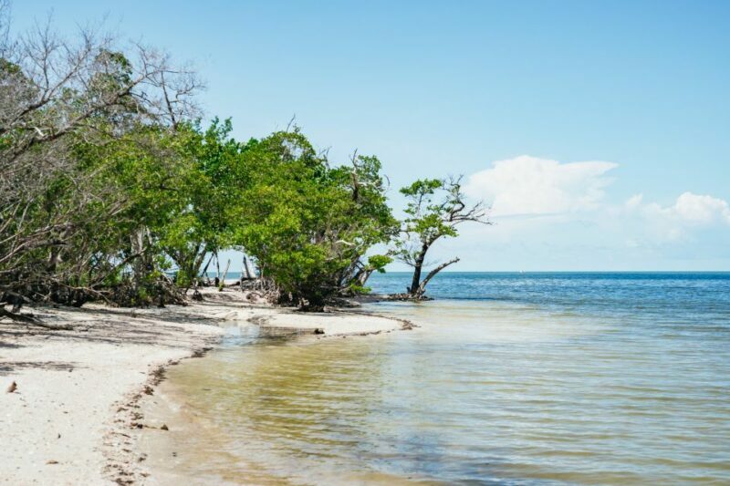 Naples, FL: Manatee, Dolphin, 10,000 Islands Beach Eco Tour - FAQ