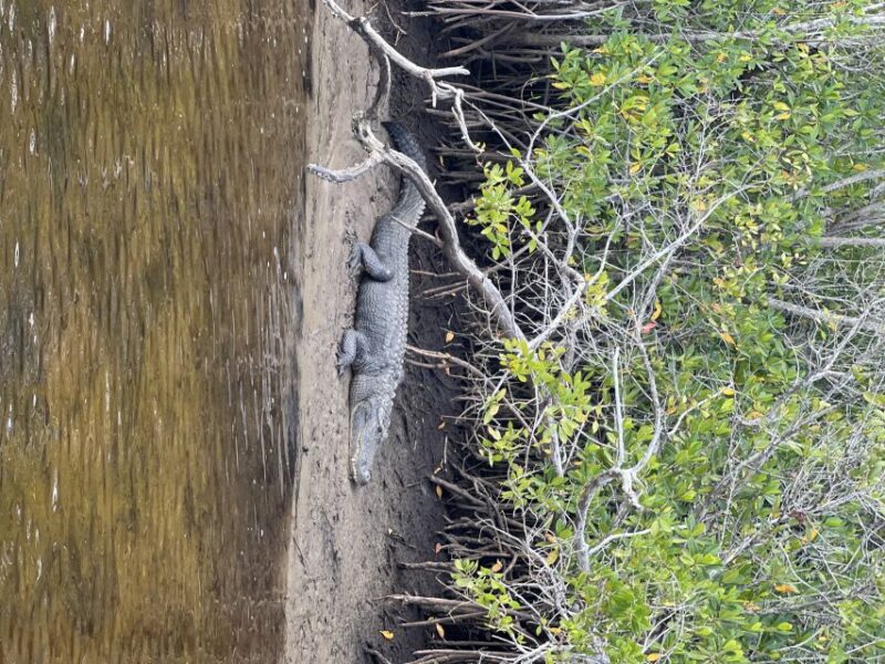 Naples, FL: Manatee, Dolphin, 10,000 Islands Beach Eco Tour - Included Amenities