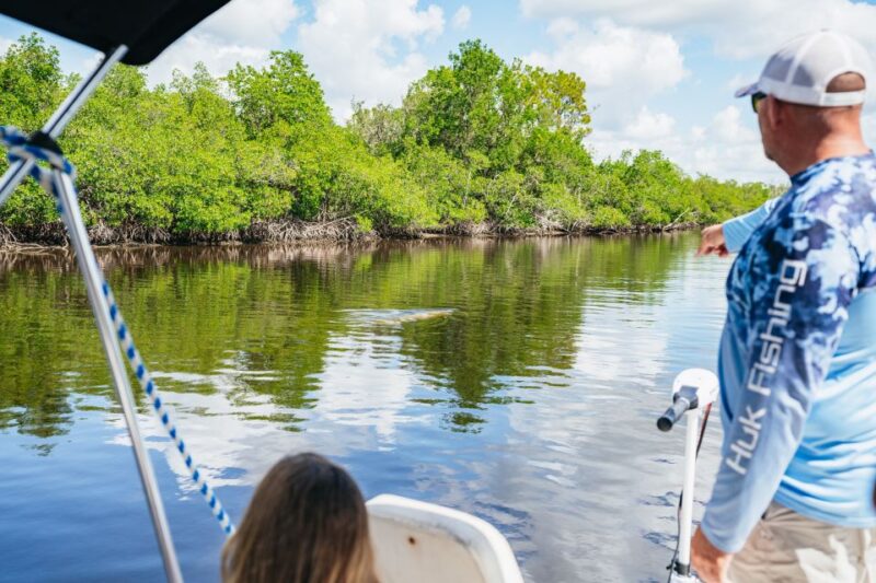 Naples, FL: Manatee Sightseeing and Wildlife Boat Tour - Customer Feedback