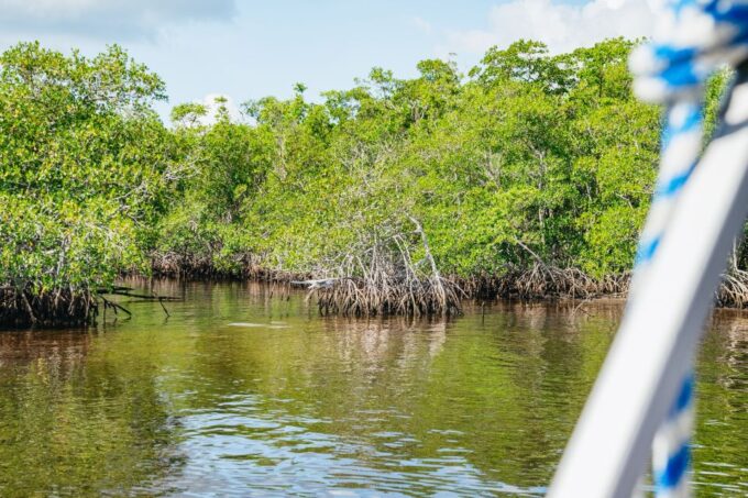 Naples, FL: Manatee Sightseeing and Wildlife Boat Tour - Additional Details