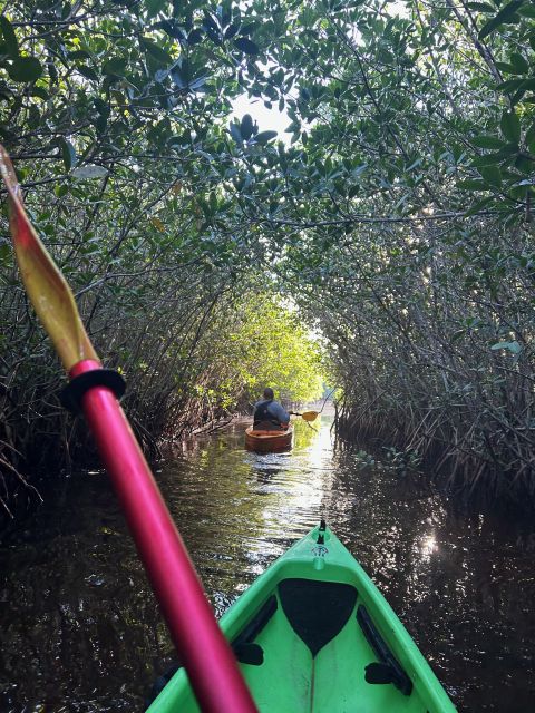 Naples, Fl: Manatees, Grasslands and Mangroves Kayak Tour - Key Points