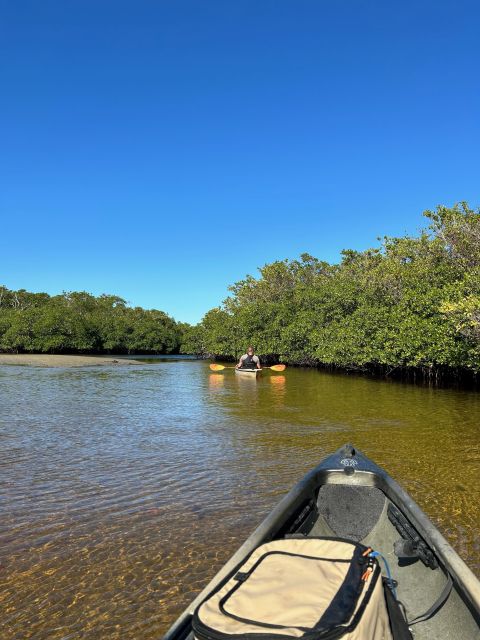 Naples, Fl: Manatees, Grasslands and Mangroves Kayak Tour - Additional Information